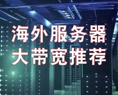美国服务器_美国大带宽100G服务器_匿名服务器_免实名认证